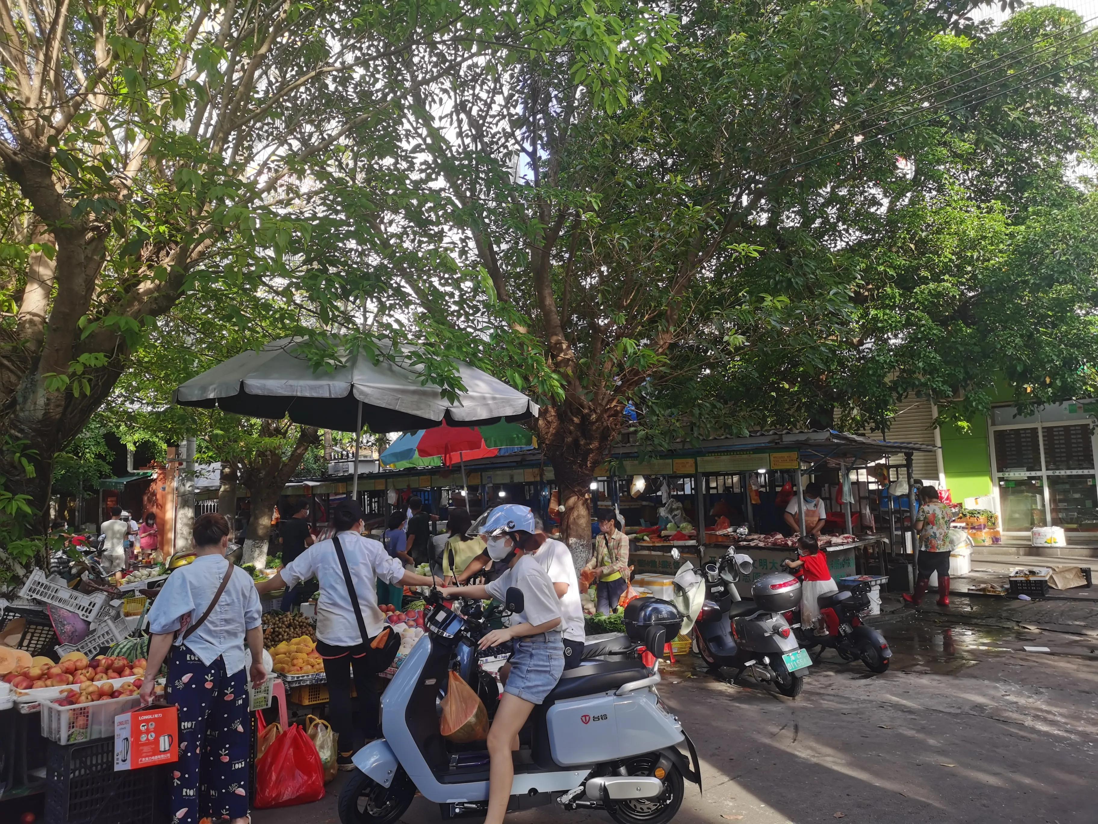 疫情下的大连湾渔港,海甸岛最新疫情报告