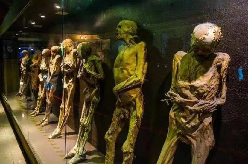 鎺㈢储鍙戠幇鐧惧勾骞插案,澶ч噺骞插案涓撳鍙戠幇鎯婁汉绾跨储