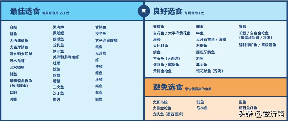 dha都在推荐吃真的需要补充吗,dha到底有多重要怎么吃才见效
