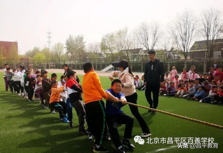 赋能于师丨城区学区在行动!