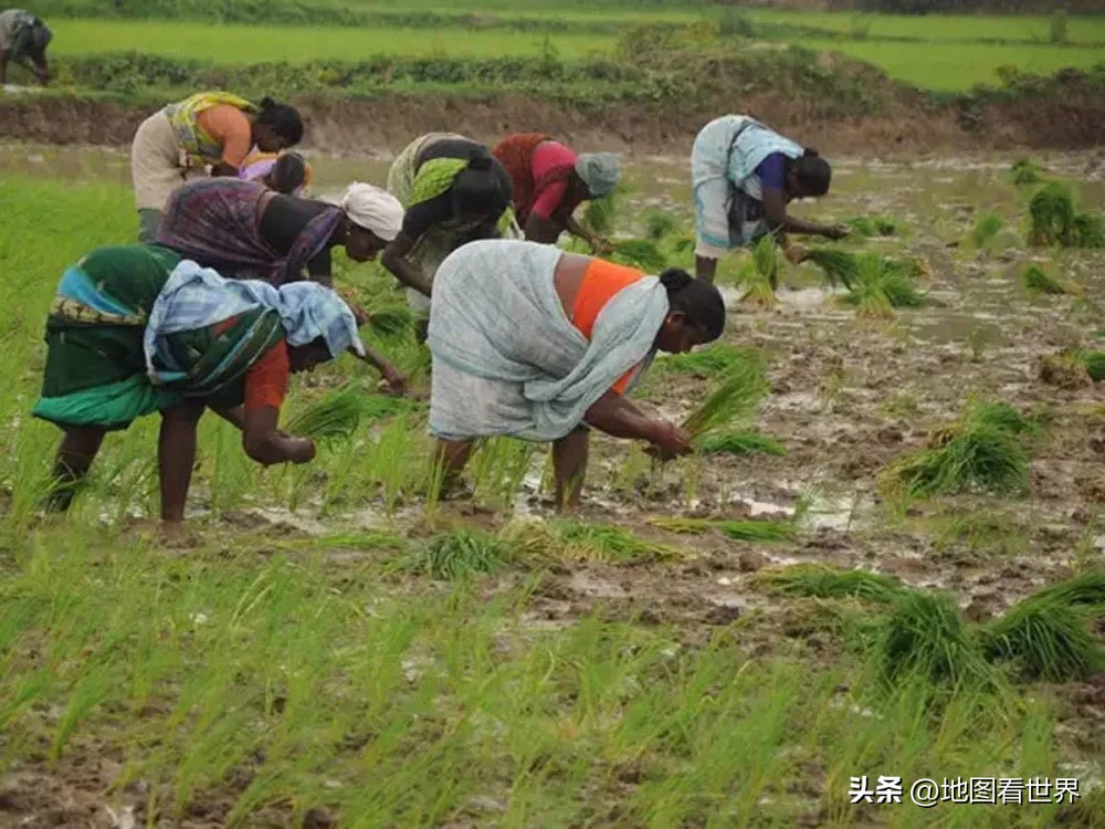 金砖五国是哪5个国,简要介绍一下金砖五国