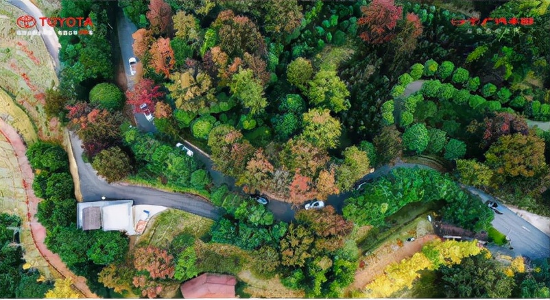 丰田600万感恩活动,广汽丰田惠民购车节庆祝