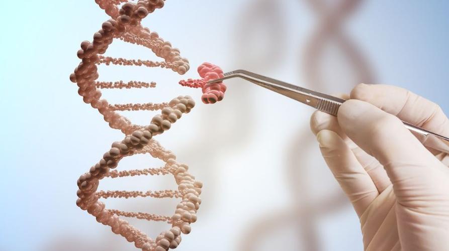 基因组学应用于癌症治疗,基因组学在育种的应用