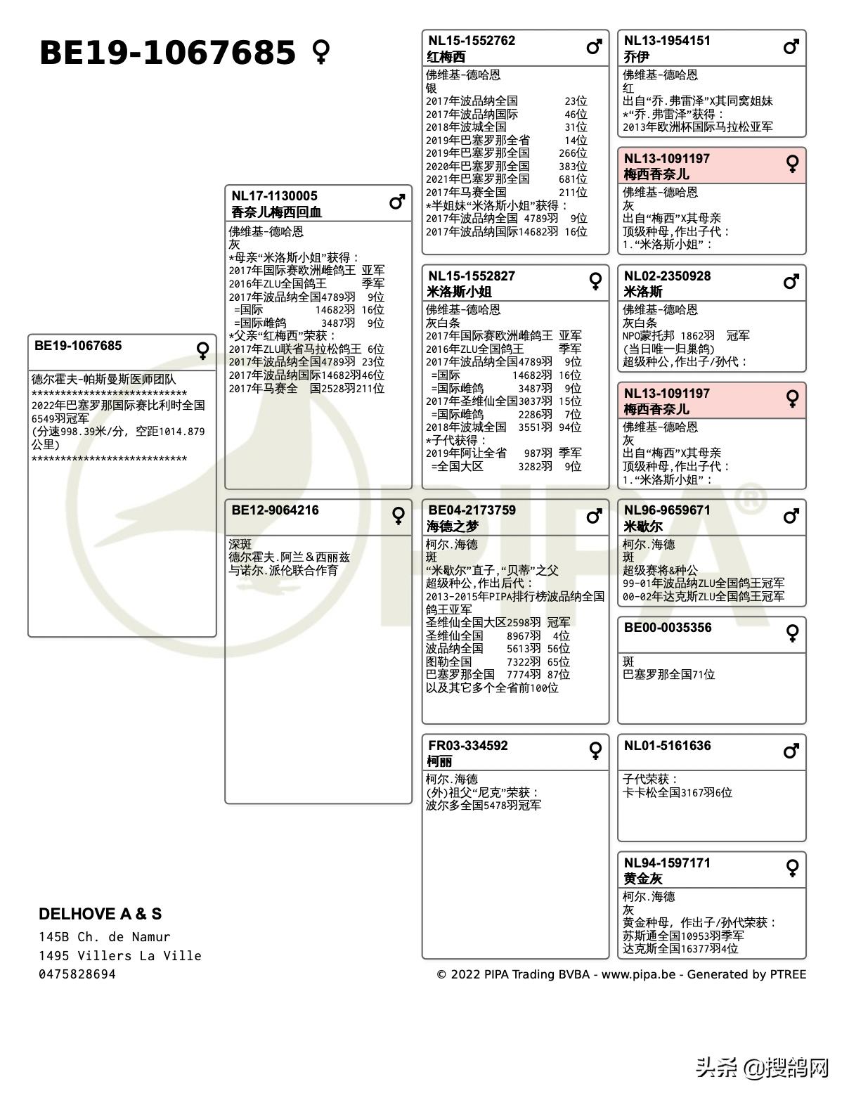 巴塞罗那是世界冠军吗,巴塞罗那6连冠都是哪六冠