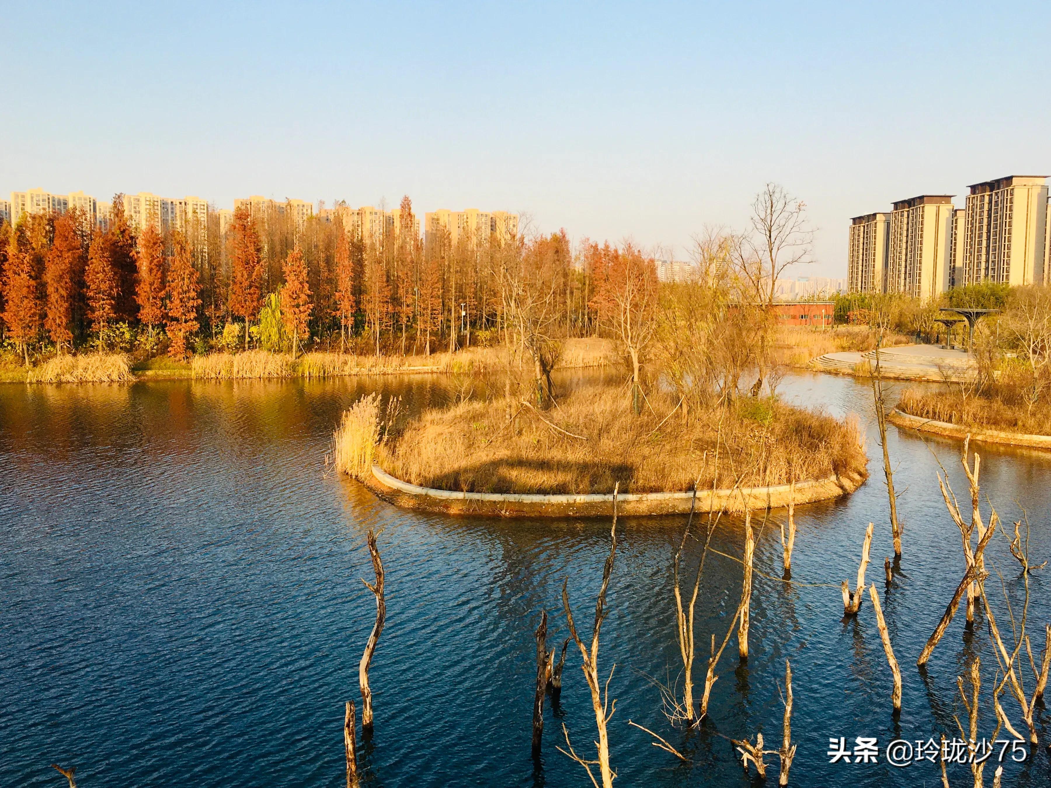 长沙风景美丽的篮球场,长沙王陵公园生态足球场