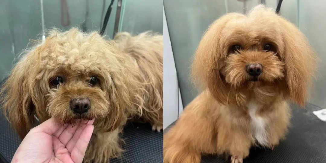 疫情后遗症：名校生逃离大厂