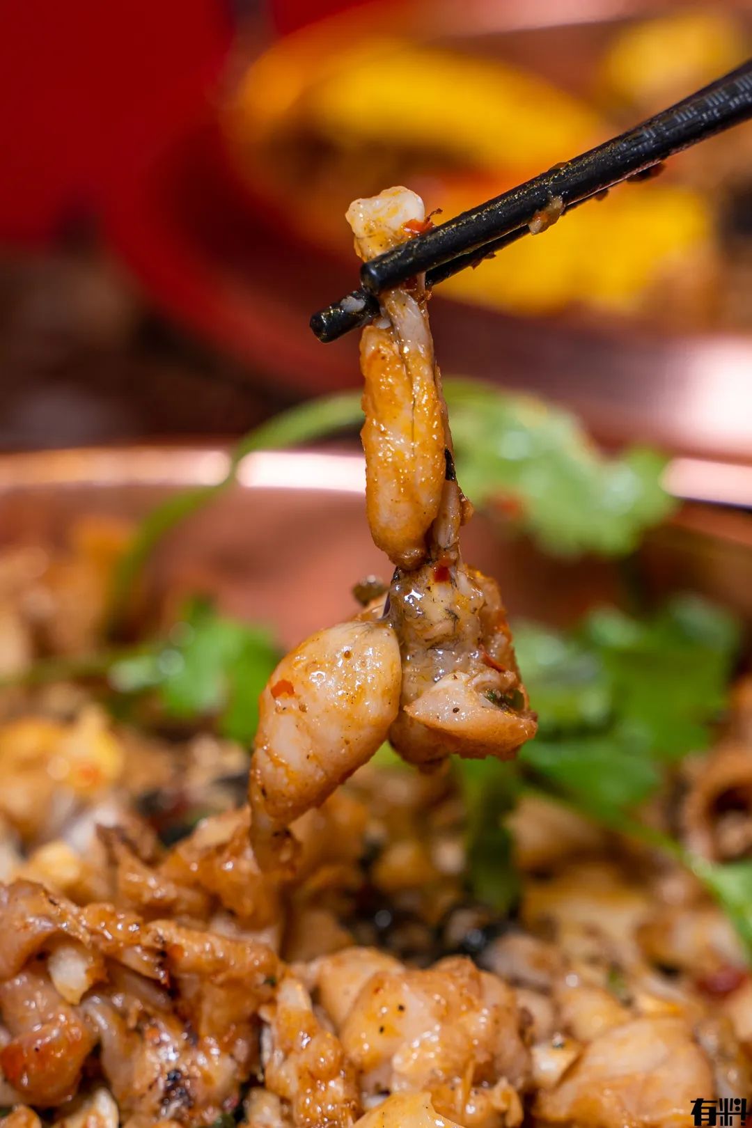 松山湖万象汇牛蛙团购,东莞牛蛙店