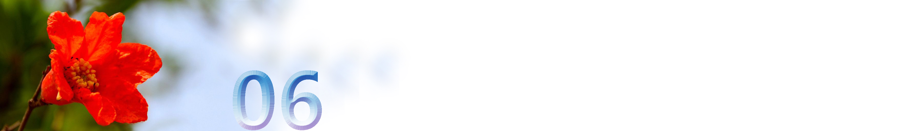 五月石榴花开的唯美诗句,关于石榴花的美文和诗句