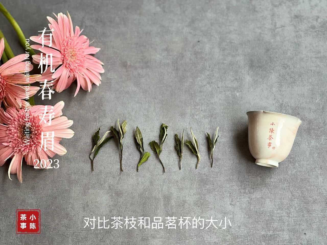 什么是沸水洗茶,洗茶水温多少合适