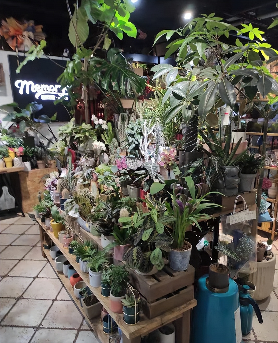 餐饮创业项目快餐便当,餐饮创业快餐加盟