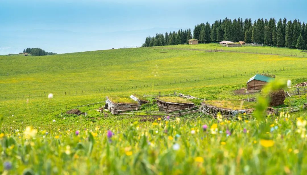 最美公路独库通车仪式,官宣独库公路2021年开通时间