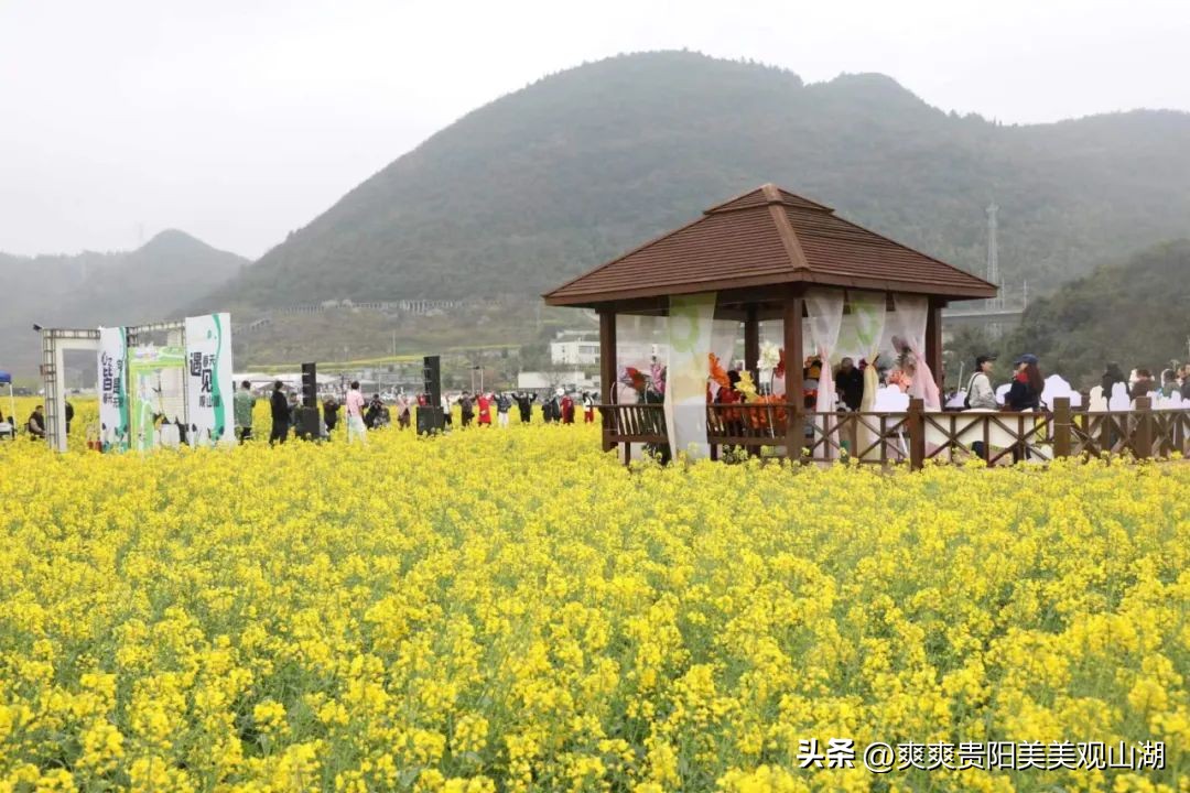 观山湖区文旅项目,观山湖区文旅
