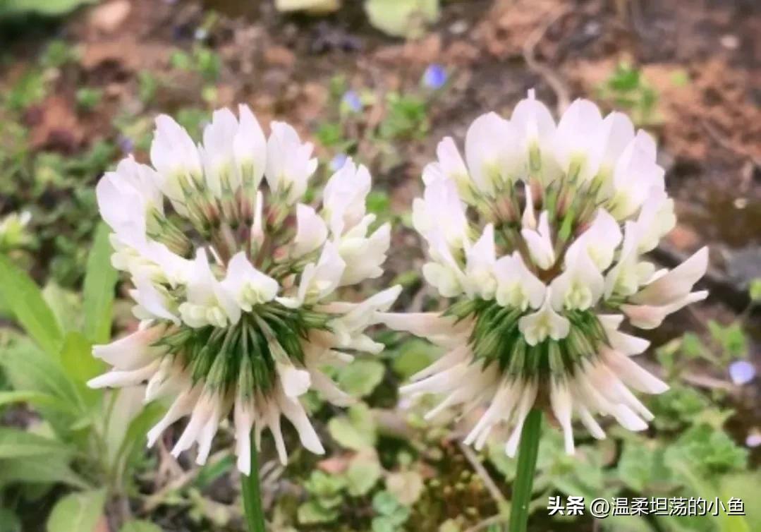 和老公吵架吵赢的后果,和老公吵架容易失控怎么办