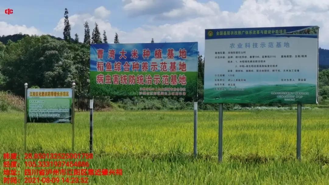 中华保险口碑好不好？服务民生，服务三农