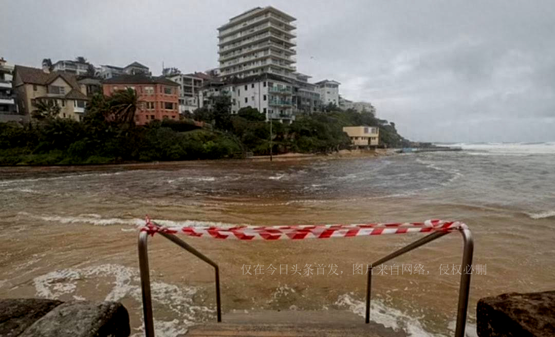 澳女子下海游泳，*处私**竟然被感染