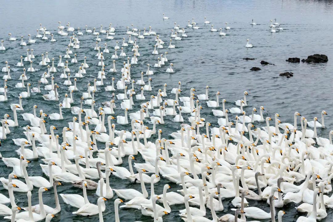 山东除了淄博还有哪里好玩,淄博都有哪些值得游玩的地方