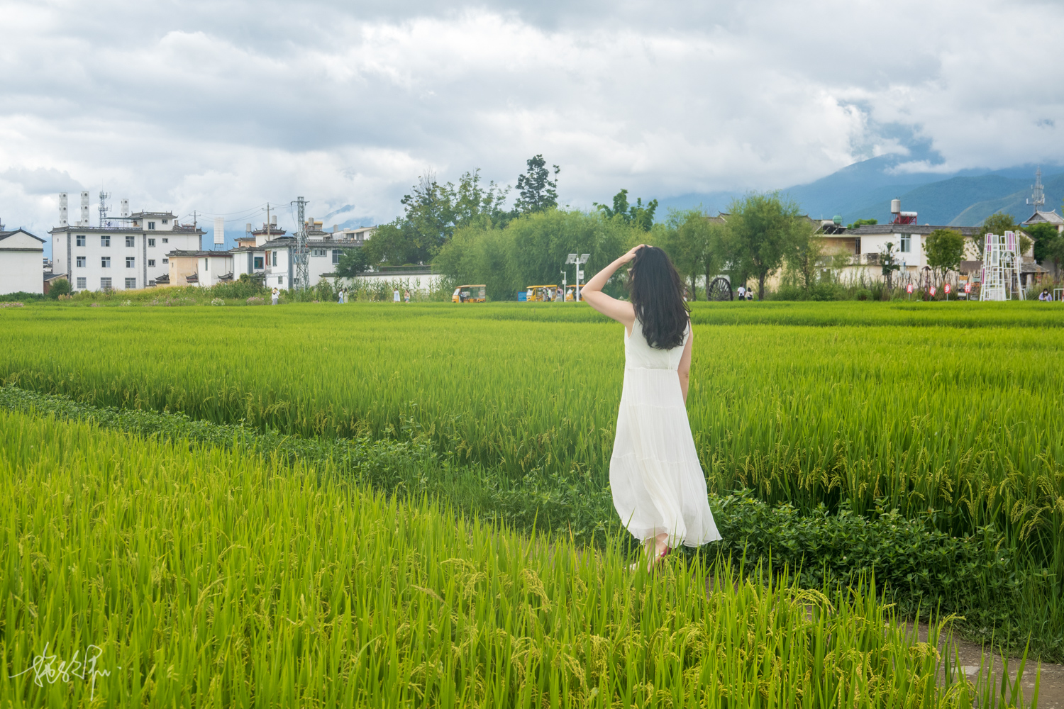 我的2022年度报告,我的2022原版