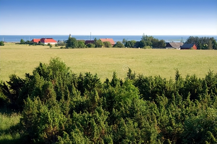 波兰农业现状,波兰产业结构最新