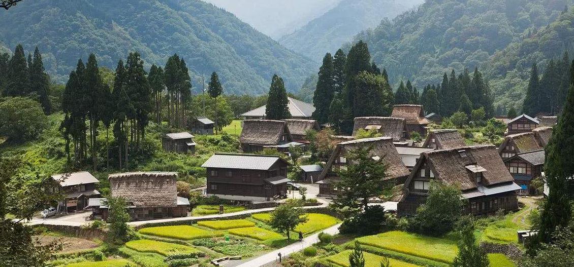 在银行取钱说取到假钱怎么处理,银行取到假钱怎么办