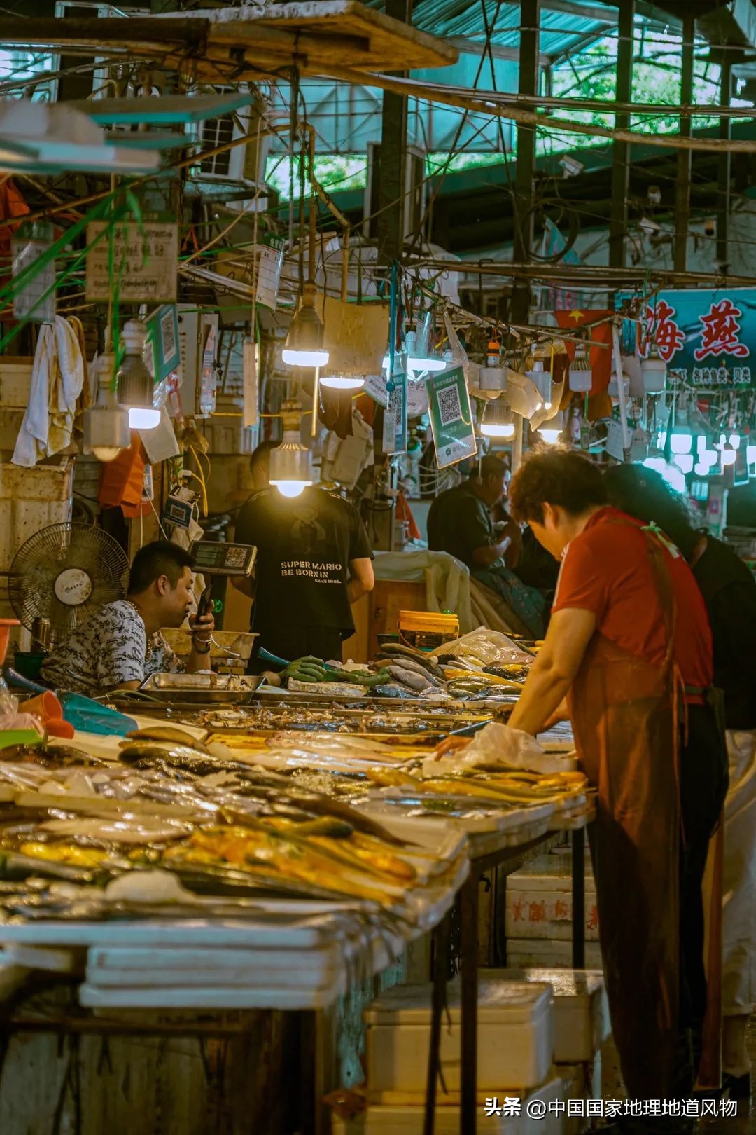 现在的海鲜什么比较好吃,中国哪的海鲜比较好