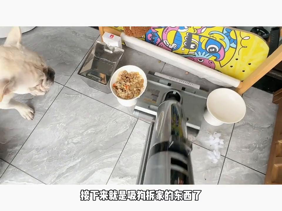 德尔玛洗地机和uwant洗地机哪个好,uwant洗地机和添可洗地机评测