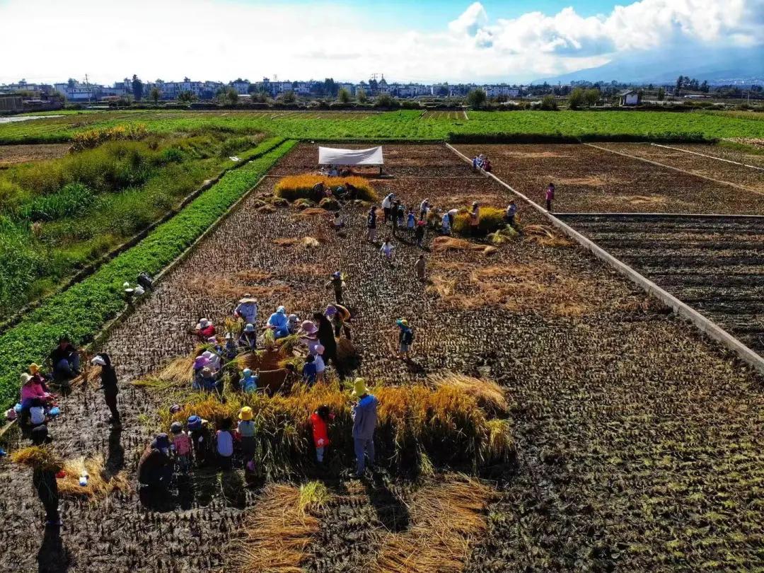大理幼儿园环境,大理县城幼儿园