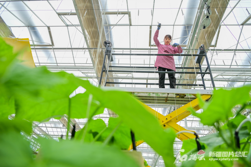 宣城智慧农业种植,科学种植助力现代农业跨越提升