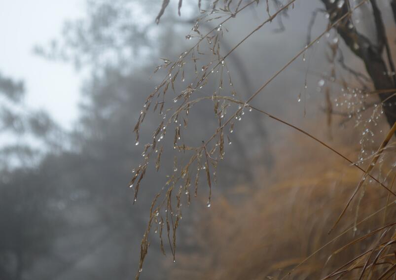 一品黄山天高云淡香烟,一品黄山天高云淡广告原视频