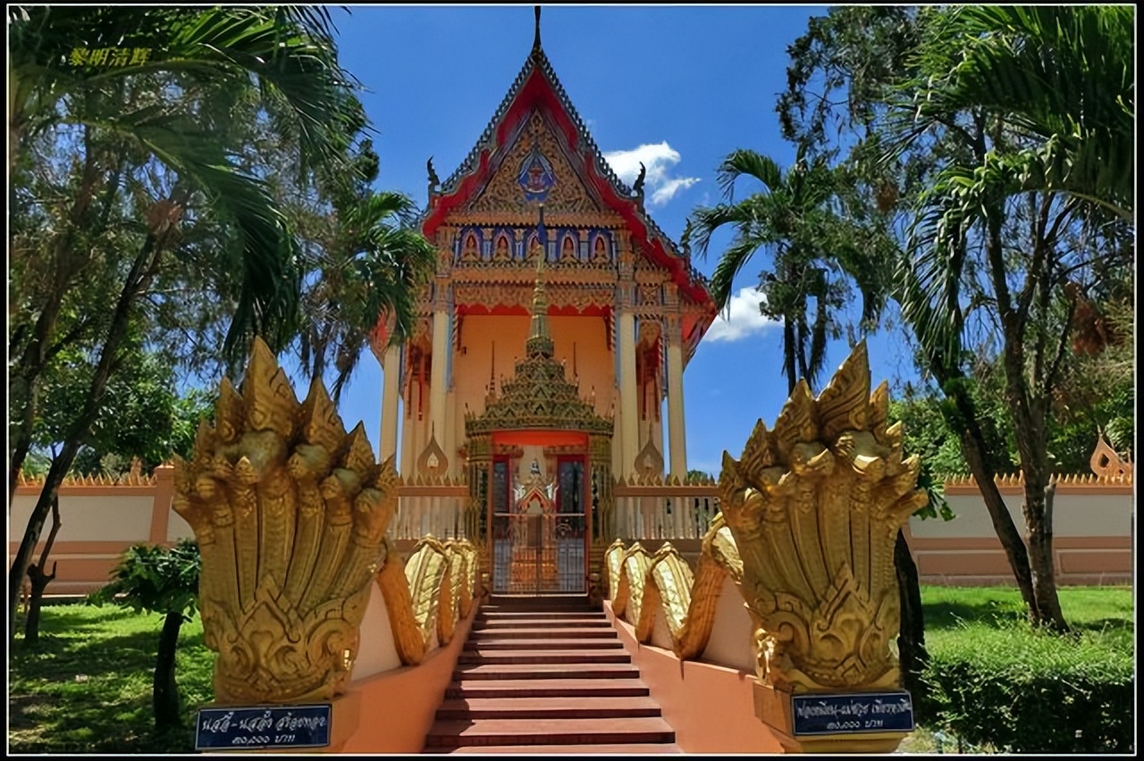 泰国人妖和女性如何区分,泰国人妖身份性别怎么区分