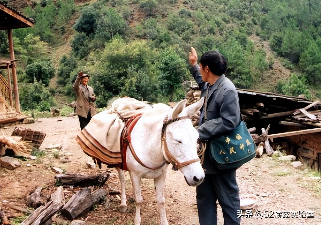 简述中国邮政快递的优势和劣势,中国邮政快递发展史和现状