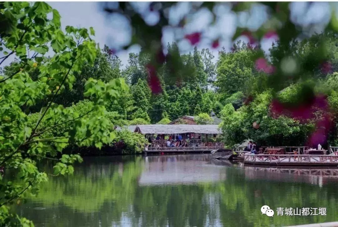 抓住秋天的尾巴！都江堰必打卡的8大晚秋好去处，步青山观烟岚云岫、入古城拾千年烟火，来过都会爱上