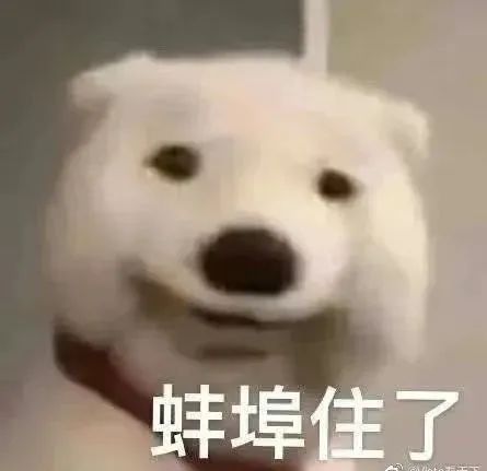 涓佸お鍗囪瘎涔屾瀛愰叡瀹屾暣瑙嗛,鏇规潹young涔屾瀛愰叡