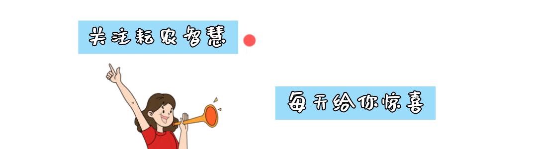 邯郸市耘农智慧,邯郸市耘农智慧农业科技有限公司