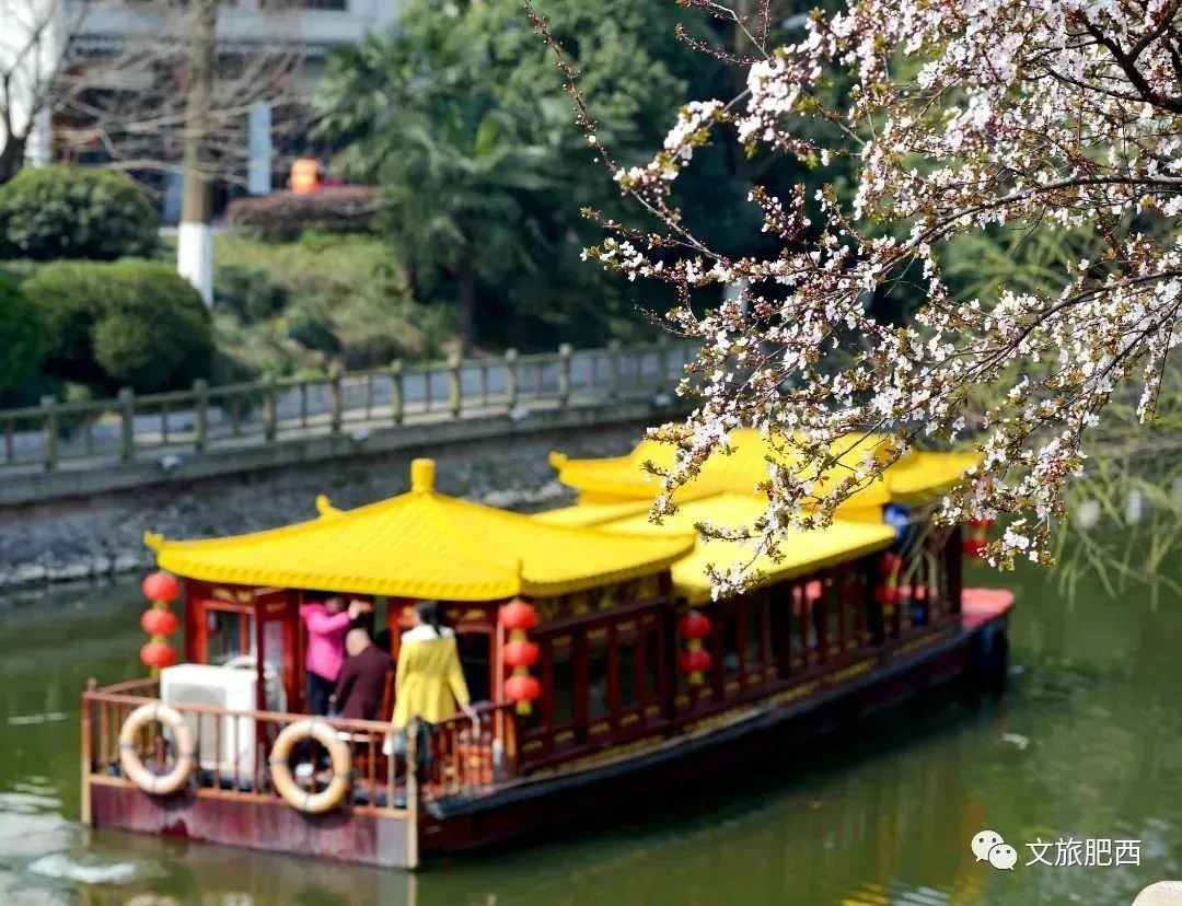 孩子们的快乐星球！周末带娃，肥西这些地方就够啦！