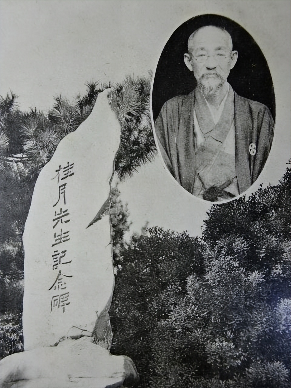 樱花起源于中国为什么叫日本樱花,日本樱花的历史简介