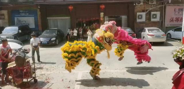 玖珑喜报|9.4（广西博白）玖珑四千金分公司成立