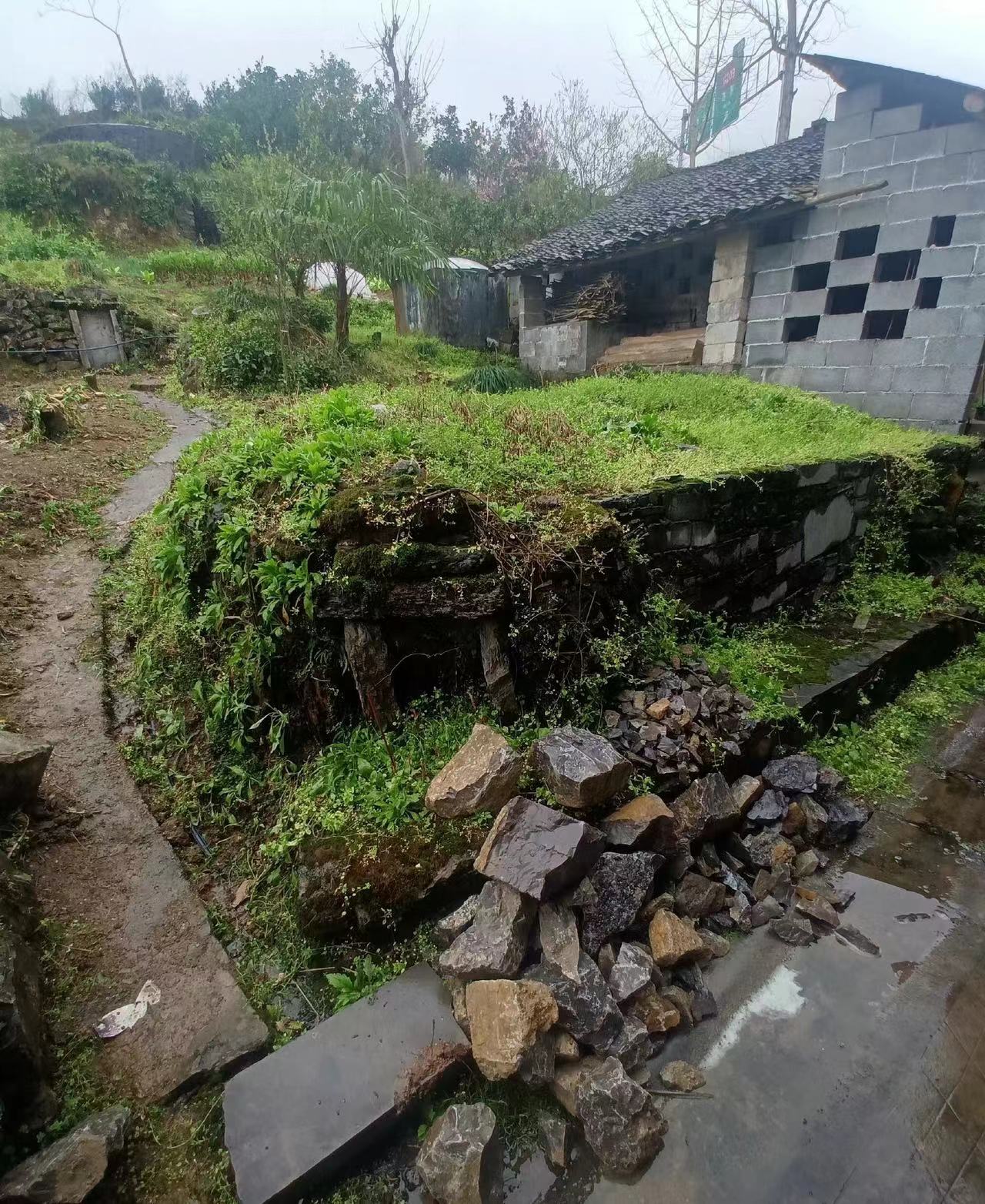 中国台湾女明星3个月攒2万，回湖北恩施修祖坟，自己却住出租房里