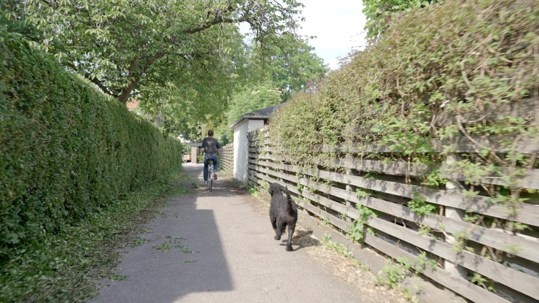 丹麦人生活方式和普通工人工资,丹麦人的生活方式视频