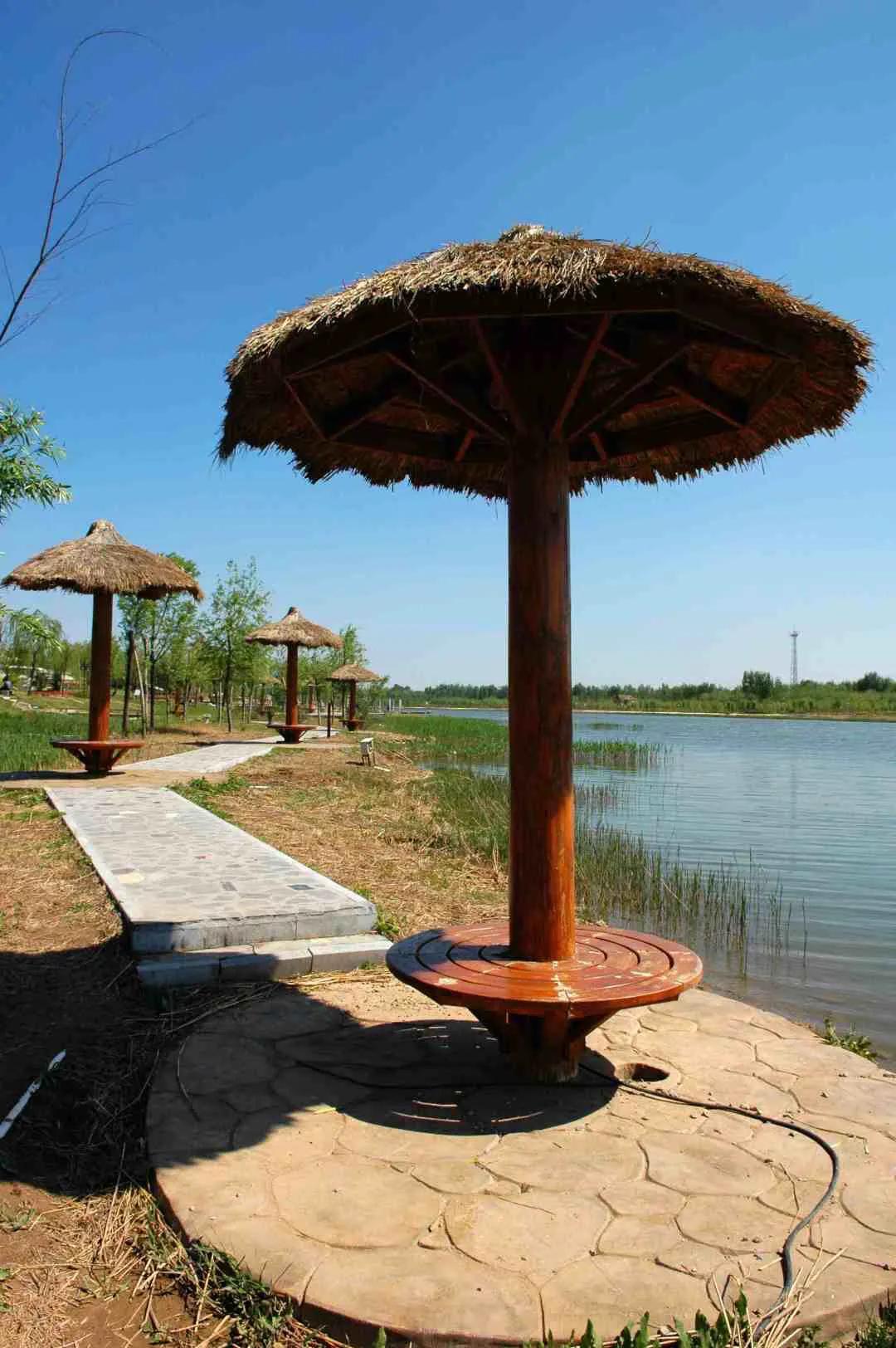 德州减河湿地公园一日游攻略,德州减河湿地公园游览记