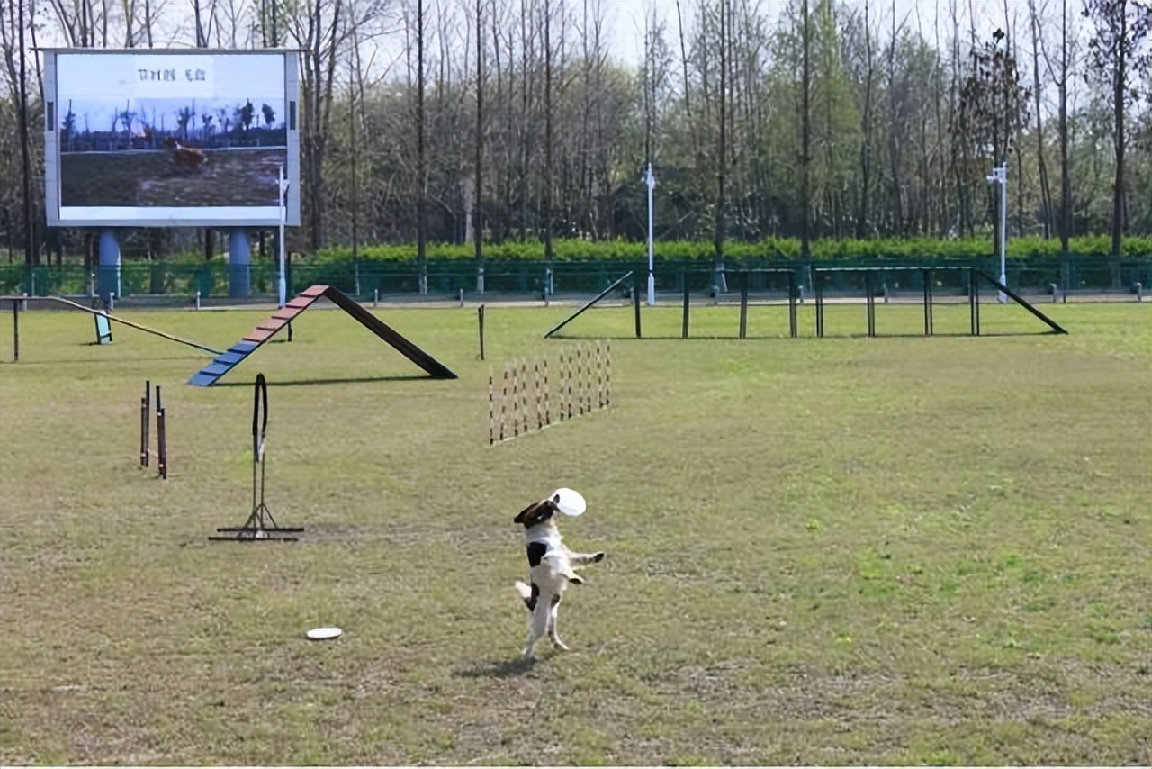 泰州姜堰出发自驾1日游好去处攻略推荐