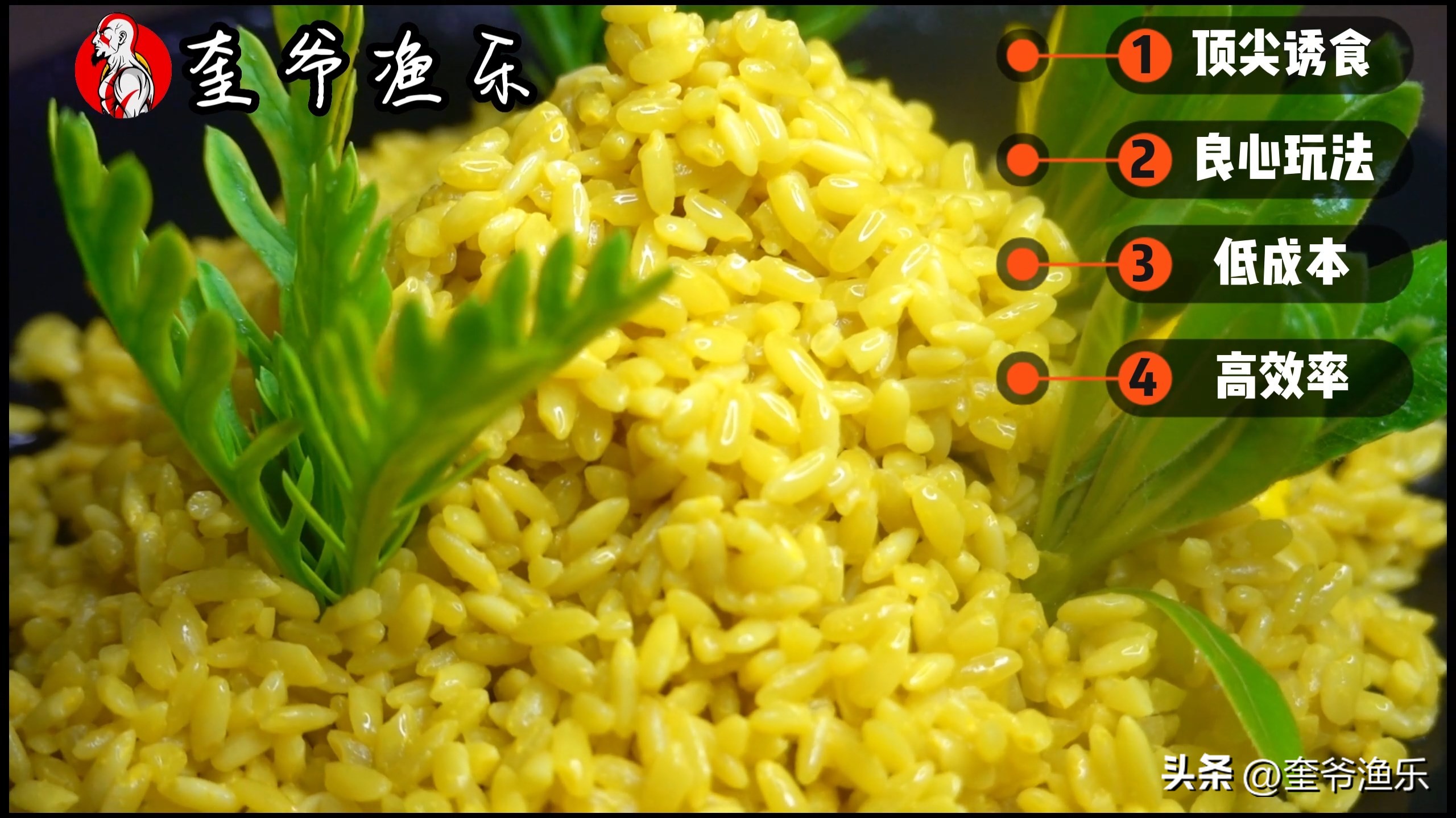 黄酒米窝料制作，强效诱鱼，成本低廉，渔具行业搅屎棍！