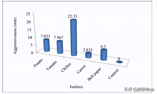 番茄青枯病害鉴别,分离番茄茎腐病真菌的方法