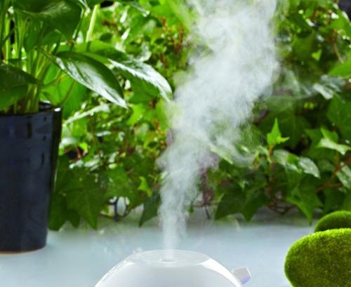 加湿器引起呼吸道感染专家辟谣,家用加湿器没水了会有危险吗