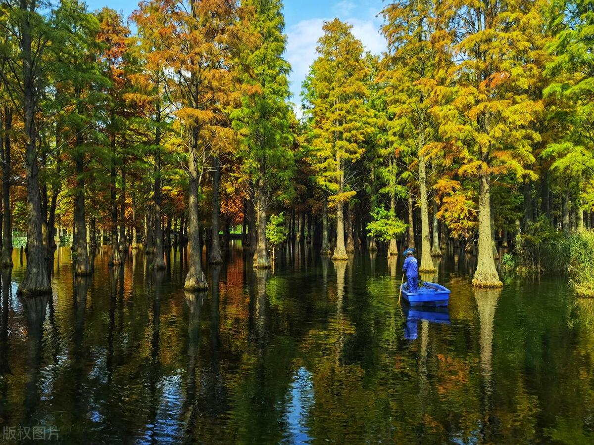 上海风景最美的公园,上海最好玩漂亮的七大公园