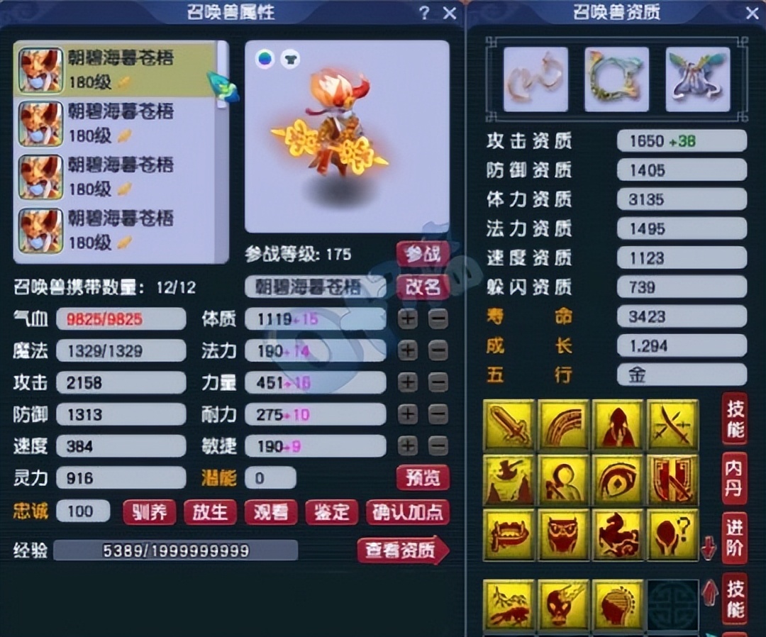 梦幻西游五庄观展示,梦幻西游第一五庄