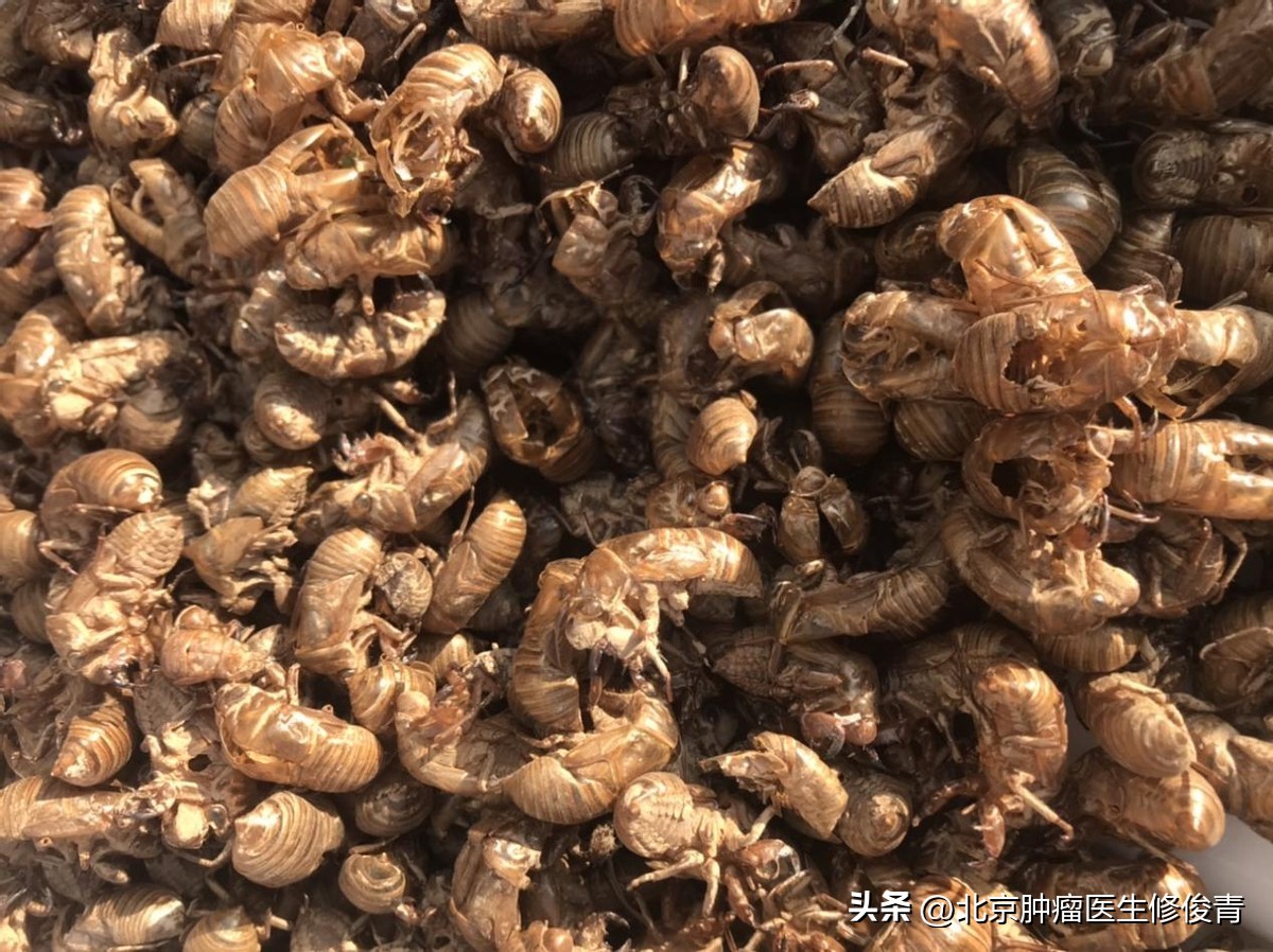 肺腺癌中医药方,中低分化腺癌中医治疗药方