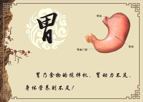 浅表性胃炎的表现症状及调理方案,浅表性胃炎的表现症状及调理