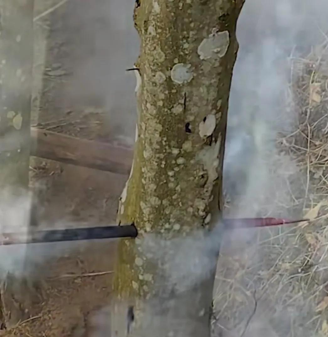 沉香文玩便宜吗,沉香手把件文玩