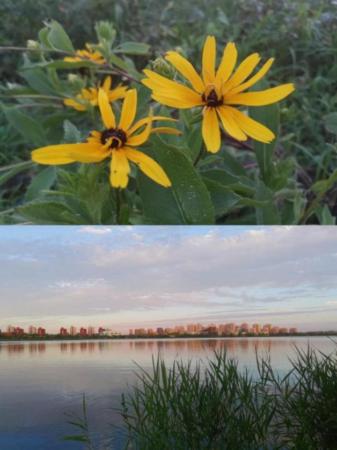 “光阴的故事”之十天津高新区：打造充满活力的幸福之城