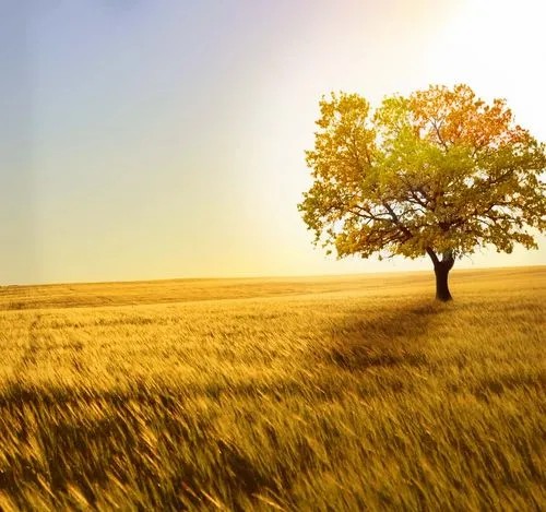 电力职工的收入真的很高吗,电力职工诉求都有哪些